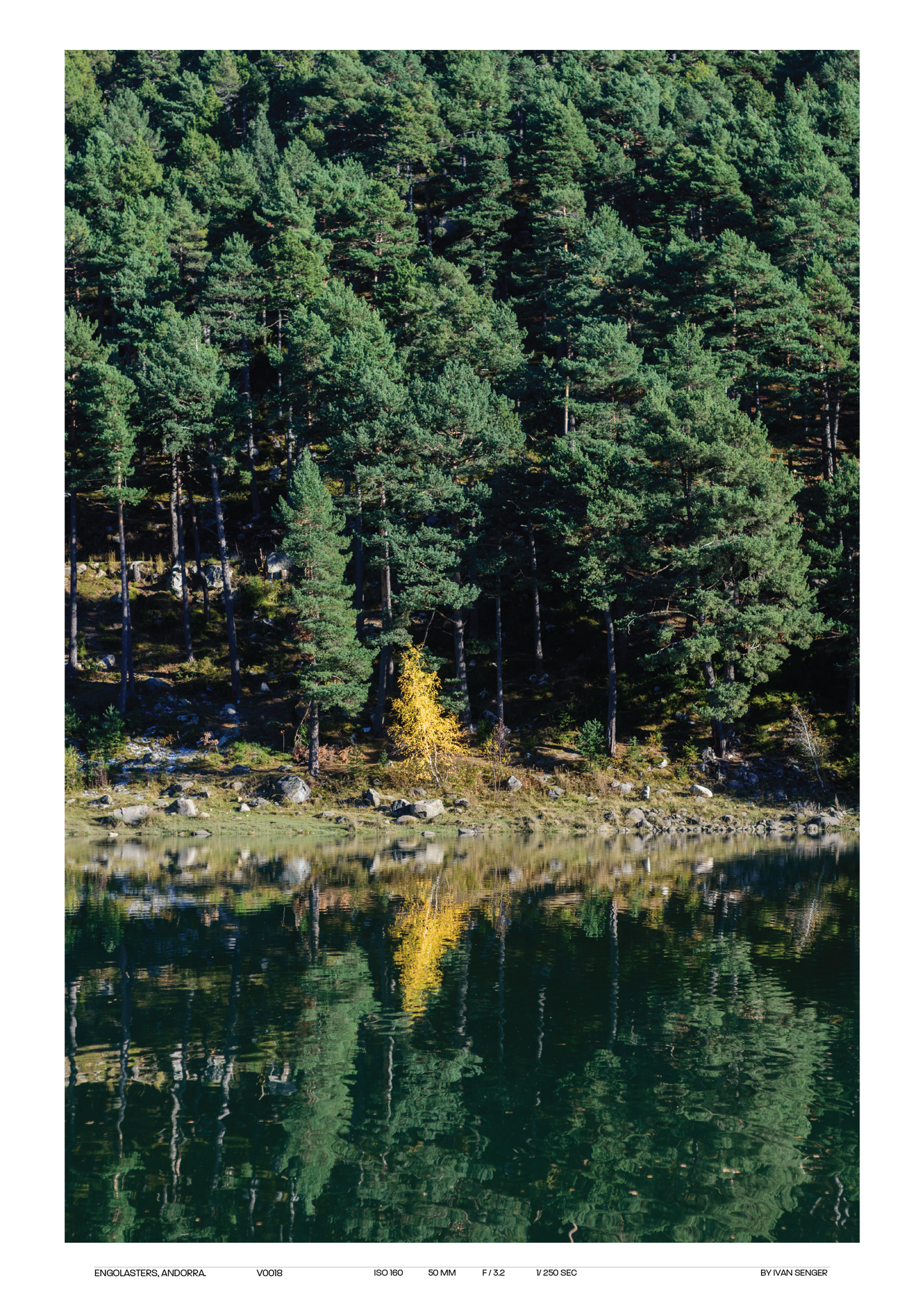 Vertical Poster